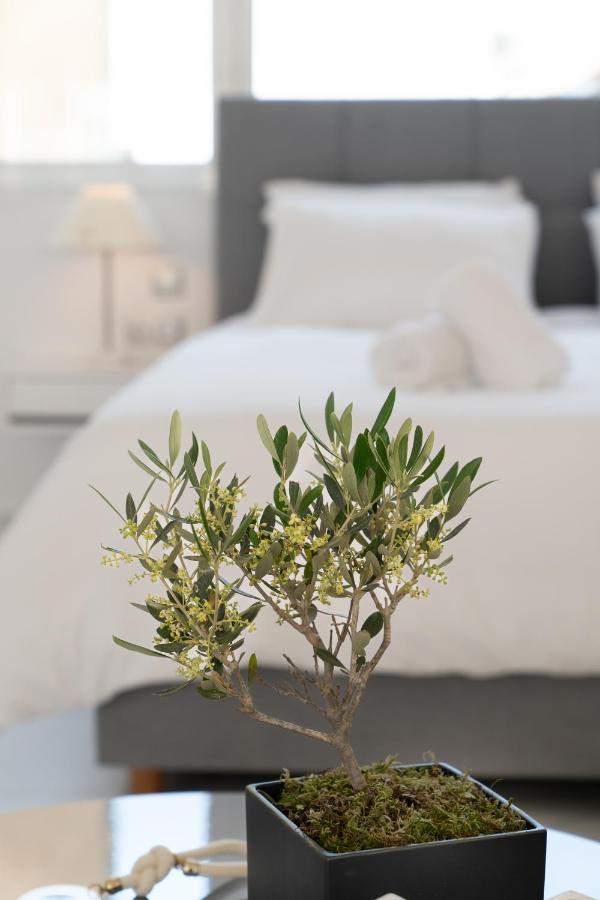 Olvar Suites Athen Exterior foto